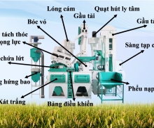 Máy Xát Gạo Công Nghiệp Giá Bao Nhiêu? Cách Chọn Đúng Công Suất